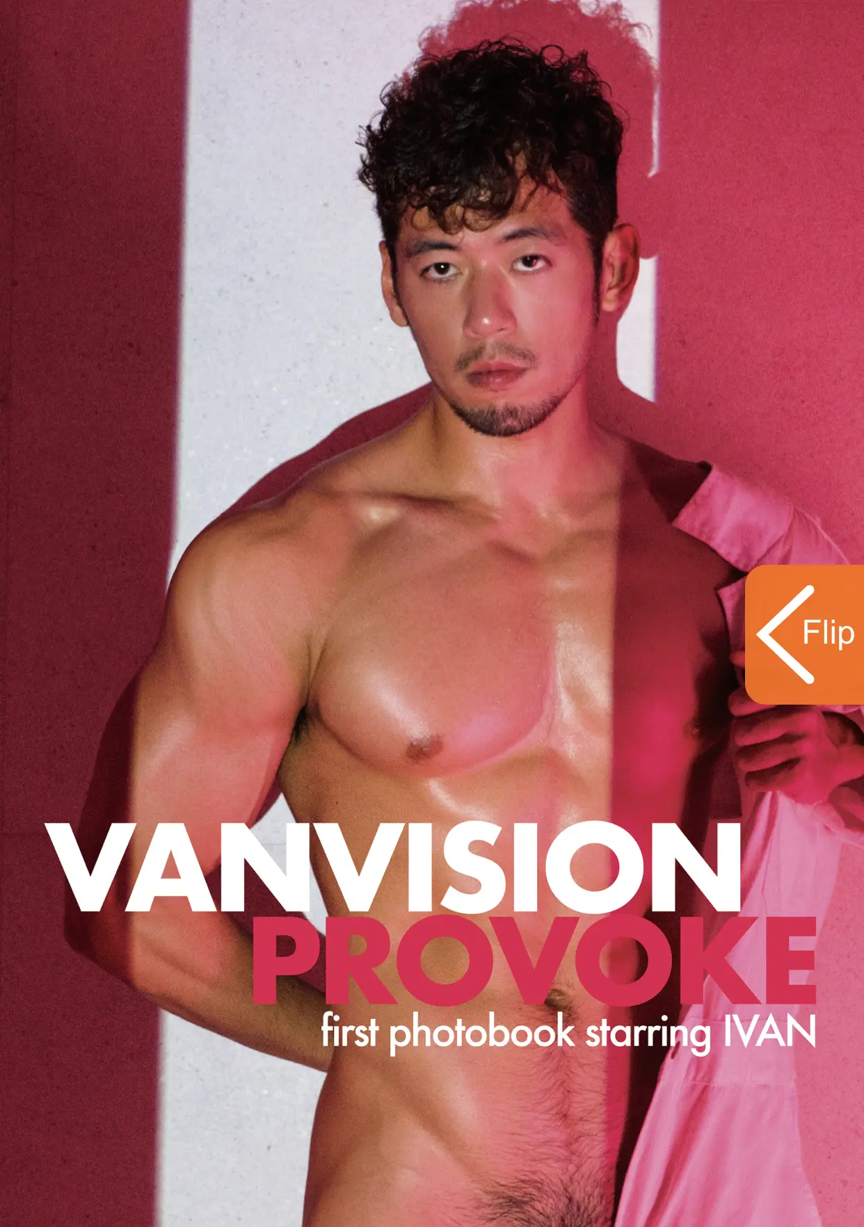 MAGAZINE-VANVISION-PROVOKE