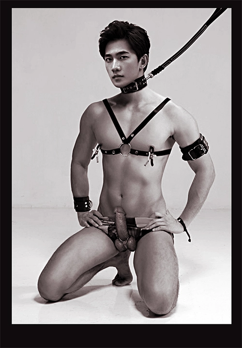 杨洋