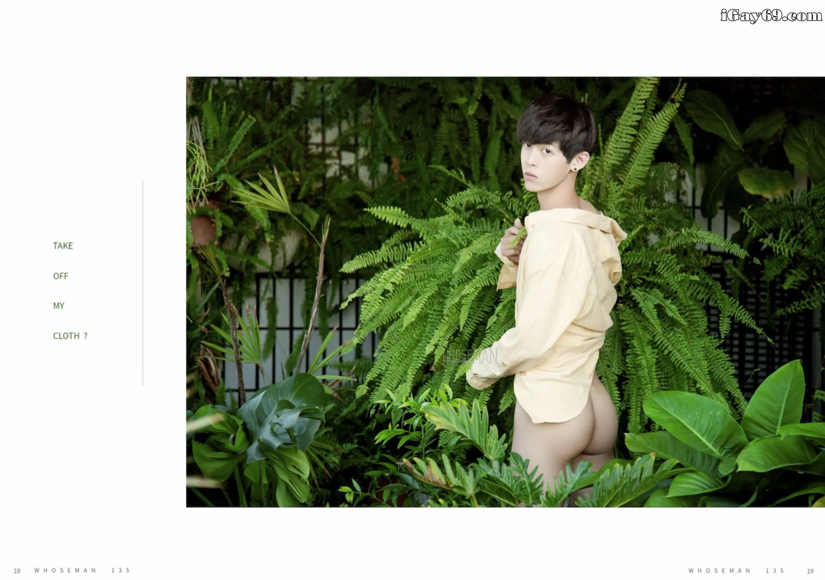 李尼