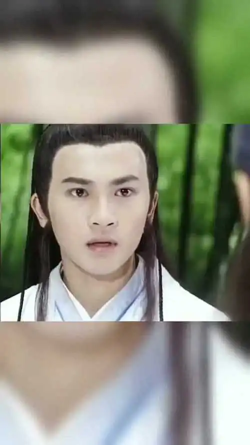 苏有朋