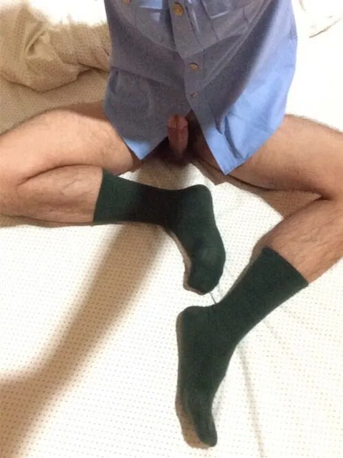 燕紫