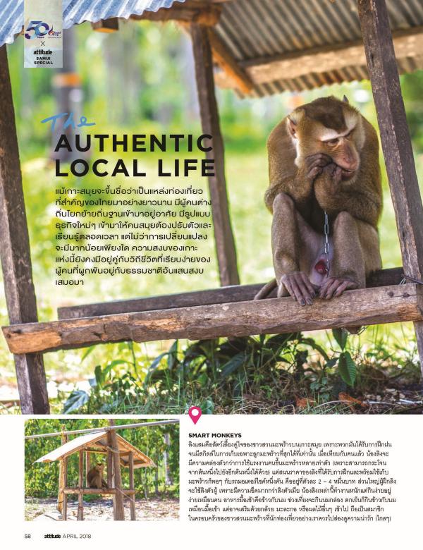 Attitude-April-2018