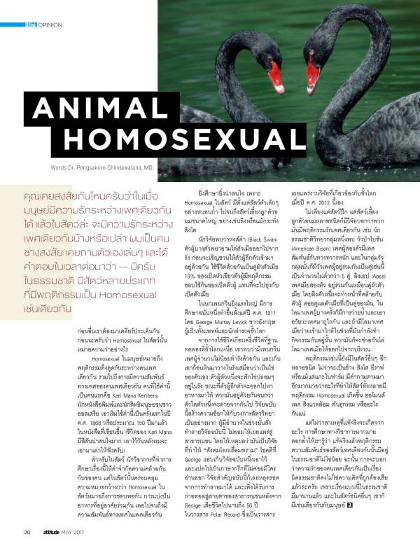 Attitude-May-2017