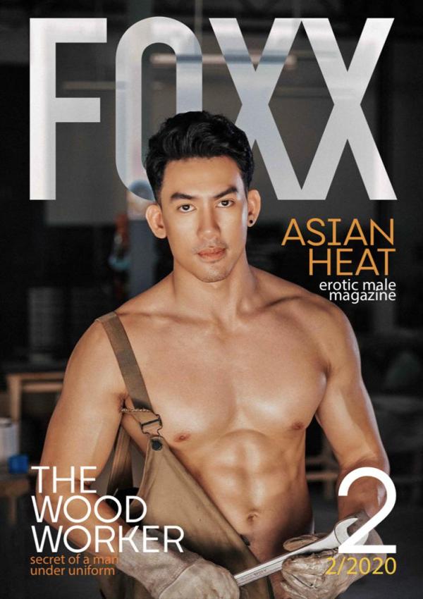 FOXX-02--The-Wood-Worker--EbookVideo-