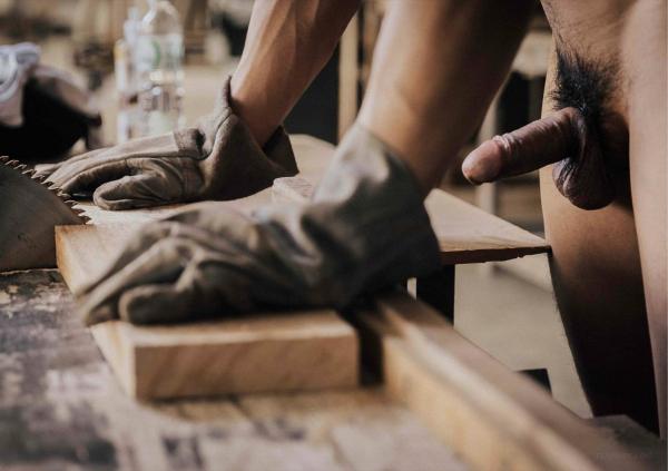 FOXX-02--The-Wood-Worker--EbookVideo-