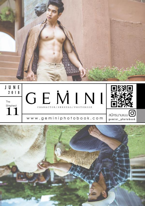 Gemini-11----Win-Nawin-Sinphommas