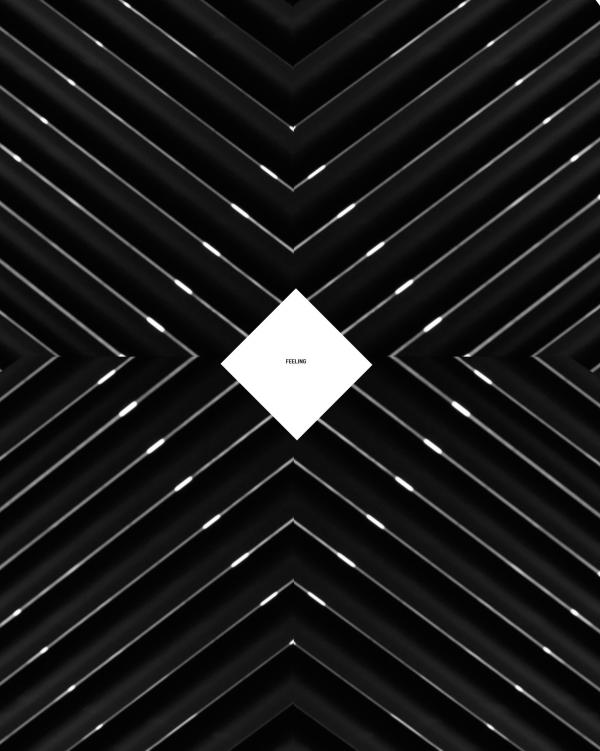 Homme-vol1--Silveron