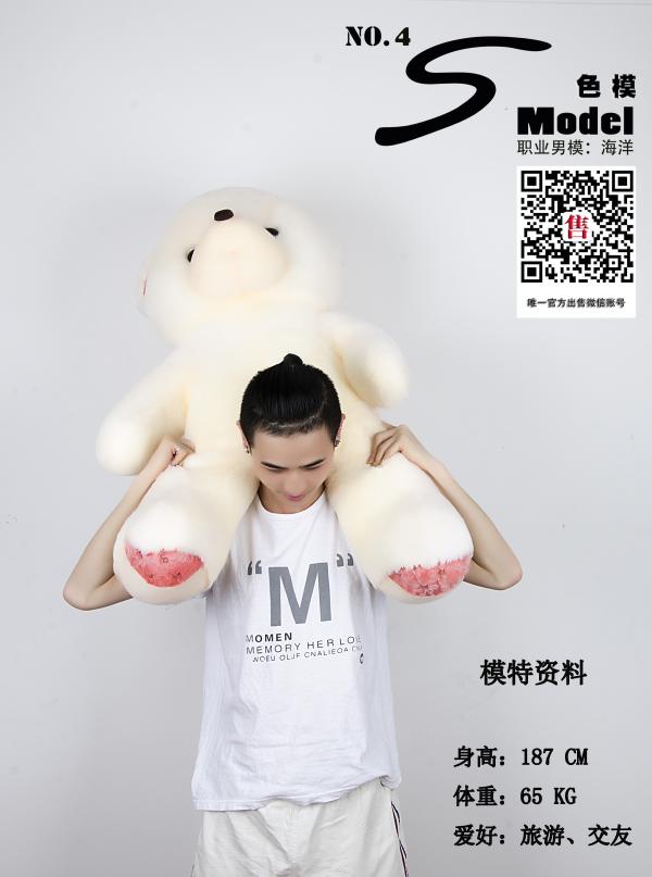 S-Model-No.04