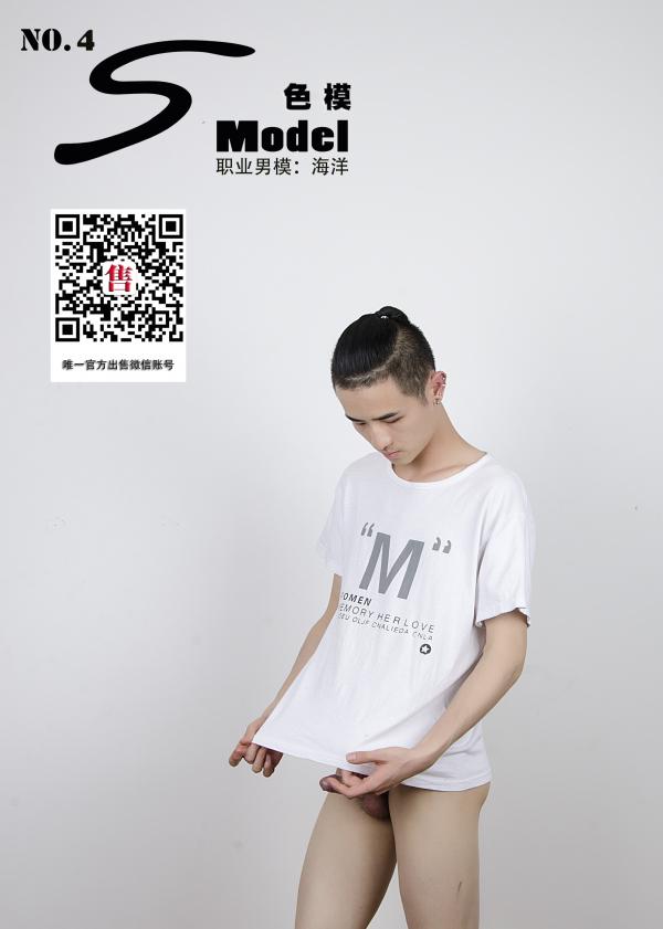 S-Model-No.04
