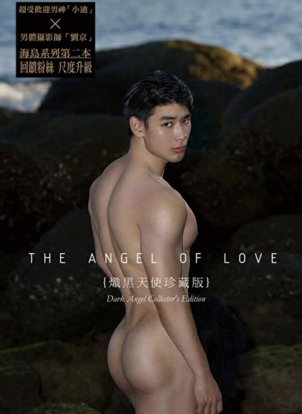 The-Angel-Of-Love--Dark-Angel-Version