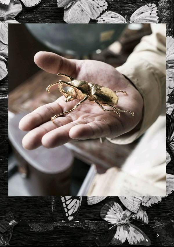 XPERIMENT-10--The-Entomologist